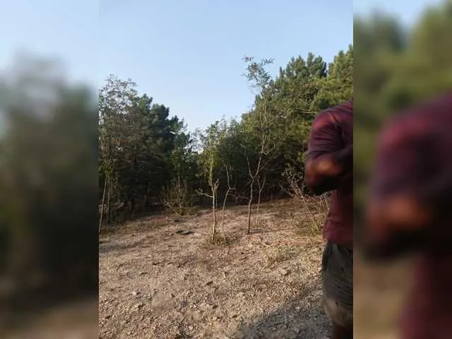 EbonyBentley – webcam model profile photo Image 11