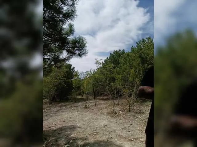 EbonyBentley – webcam model profile photo Image 14