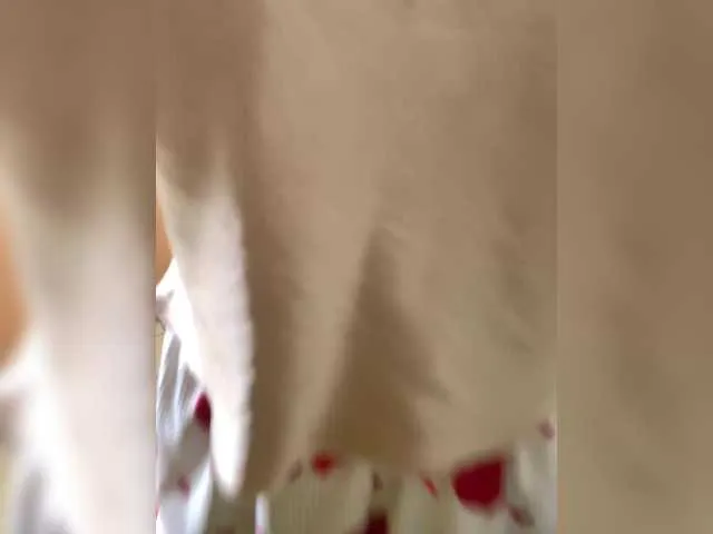 eveliness – webcam model profile photo Image 8