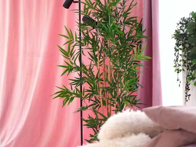 ArtTeasee – webcam model profile photo