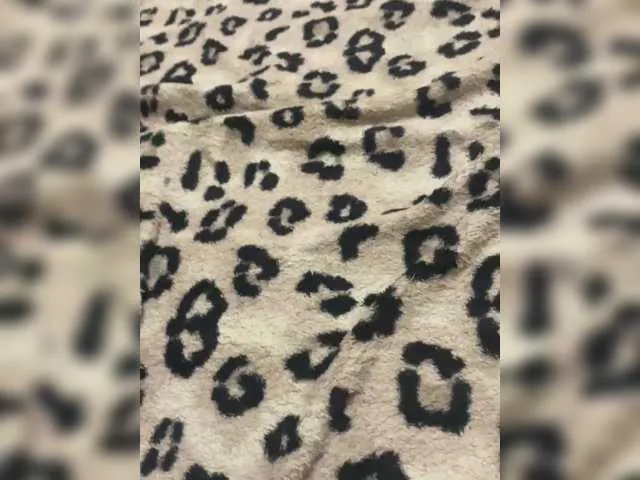 SashaShin – webcam model profile photo Image 6