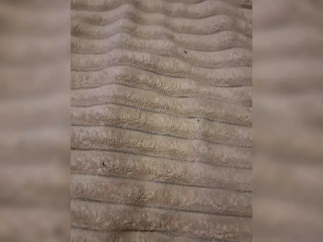 MiraLocks – webcam model profile photo Image 2