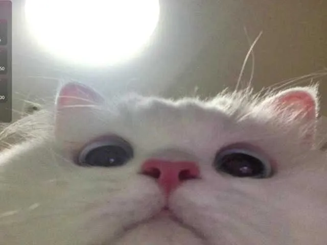 SkyLumen – webcam model profile photo Image 15