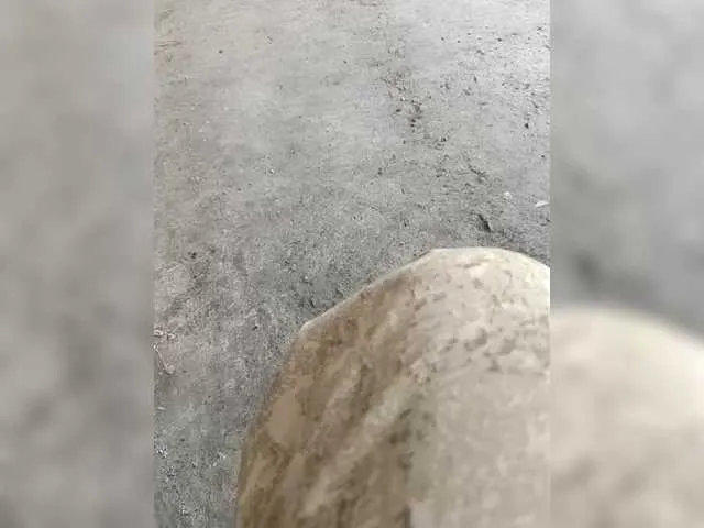 GiaRosset – webcam model profile photo Image 14