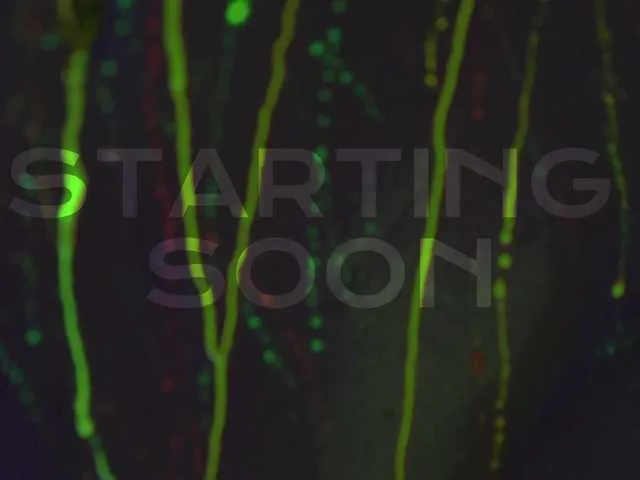 RoxanaMitchell – webcam model profile photo Image 5