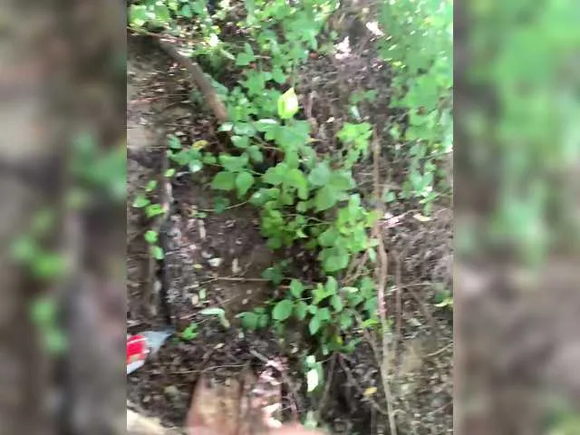 LunaKrismas – webcam model profile photo Image 6