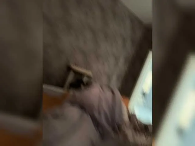 MartinaWolf – webcam model profile photo Image 3