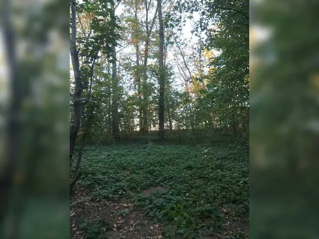 NatallieLynn – webcam model profile photo Image 18