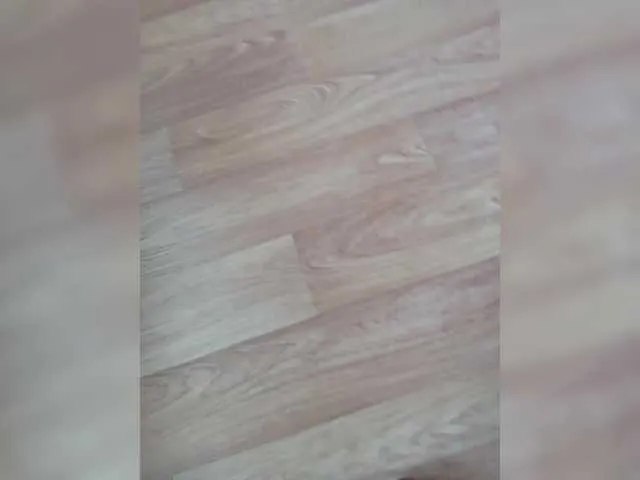 CateMarin – webcam model profile photo Image 18