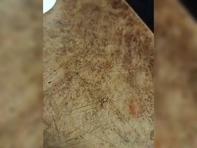 TeenieMarie – webcam model profile photo Image 6