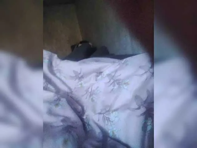 LucieWinters_UK – webcam model profile photo Image 8