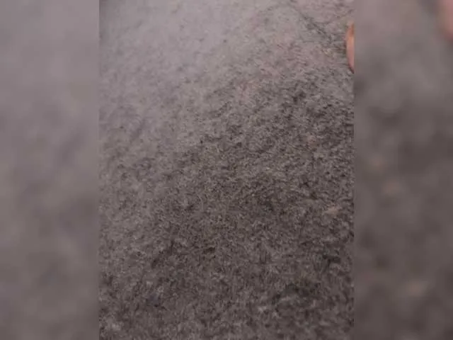 Virgin_Pussy_Horny – webcam model profile photo Image 16