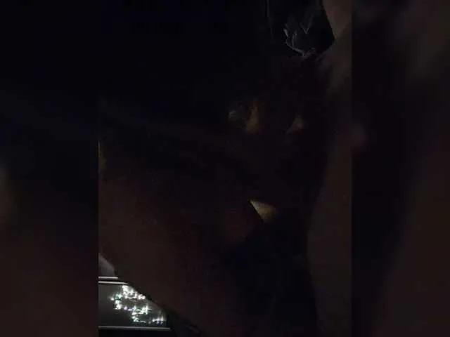 LunaKrismas – webcam model profile photo Image 2