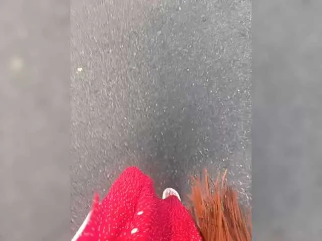 XxAlliGirlNextDoor – webcam model profile photo Image 3