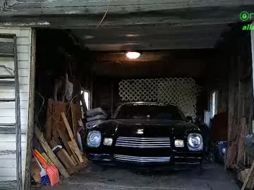 Akiravega – webcam model profile photo Image 18