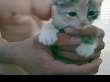 NoaMarin – webcam model profile photo Image 9