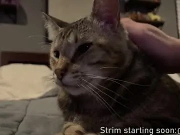 NoaMarin – webcam model profile photo Image 11