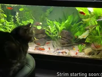 NoaMarin – webcam model profile photo Image 14