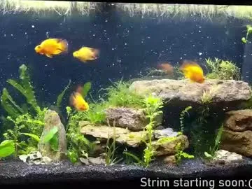 NoaMarin – webcam model profile photo Image 19