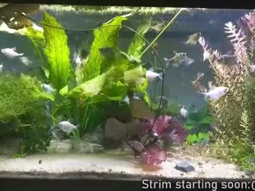 NoaMarin – webcam model profile photo Image 2