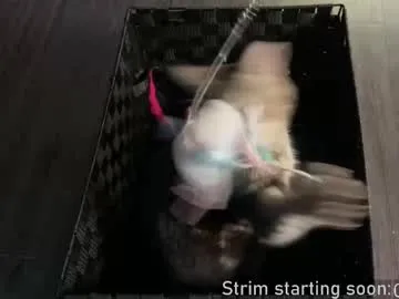 NoaMarin – webcam model profile photo Image 3