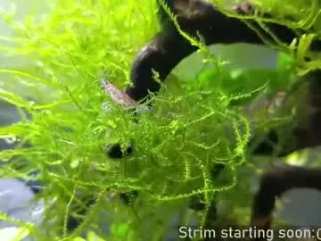 NoaMarin – webcam model profile photo Image 4