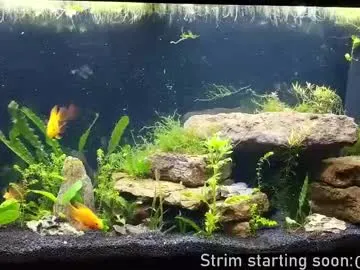 NoaMarin – webcam model profile photo Image 5