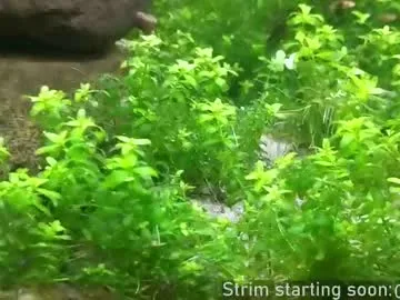 NoaMarin – webcam model profile photo Image 8