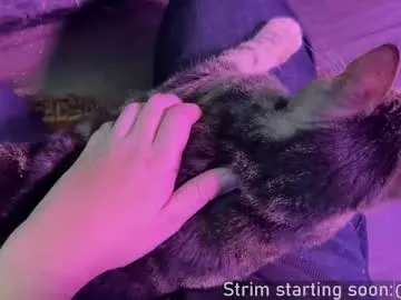 NoaMarin – webcam model profile photo Image 9