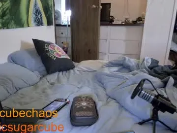 chaoticsugarcube – webcam model profile photo