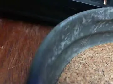 WendiHo – webcam model profile photo Image 16