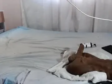 CristinaSantanas – webcam model profile photo Image 3