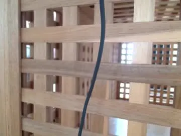 LyraCarvajal – webcam model profile photo Image 6