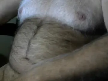 Amylewiss – webcam model profile photo Image 16