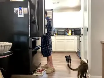 GabrielaZahar – webcam model profile photo Image 2