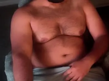 ibear_chat – webcam model profile photo