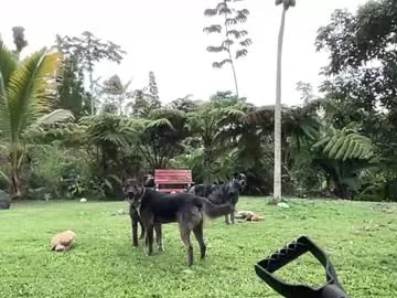 AdaraMillss – webcam model profile photo Image 14