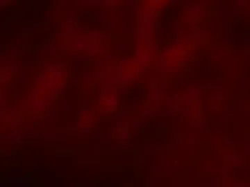 AylaRosell – webcam model profile photo Image 15