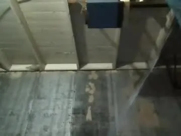 AuryPineda – webcam model profile photo Image 16