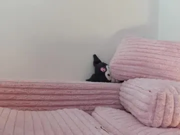 ZoeyReed – webcam model profile photo Image 12