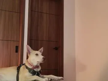 Akiravega – webcam model profile photo Image 14