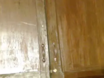 CelesteCoquette – webcam model profile photo Image 19