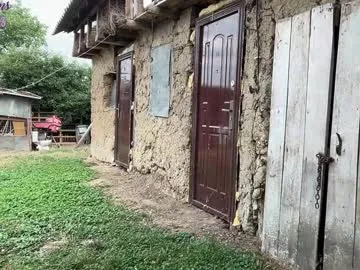 NikkiHollandXXX – webcam model profile photo Image 4