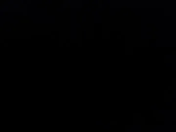 WendiHo – webcam model profile photo Image 5