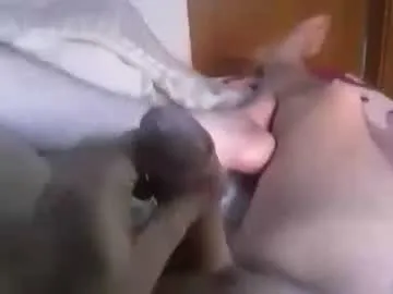 LiaSinclair – webcam model profile photo Image 6