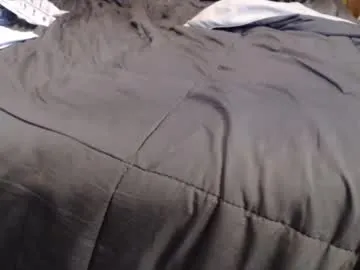 eveliness – webcam model profile photo Image 9