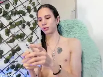 WILDDESIRES – webcam model profile photo Image 13