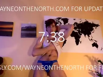 NaughtyNinaX – webcam model profile photo Image 18