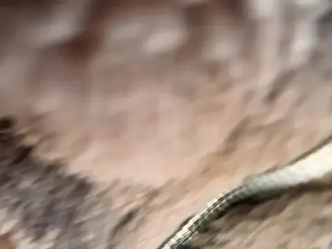 OrianaFalacci – webcam model profile photo Image 4