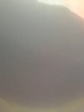 MadisonWilde – webcam model profile photo Image 6